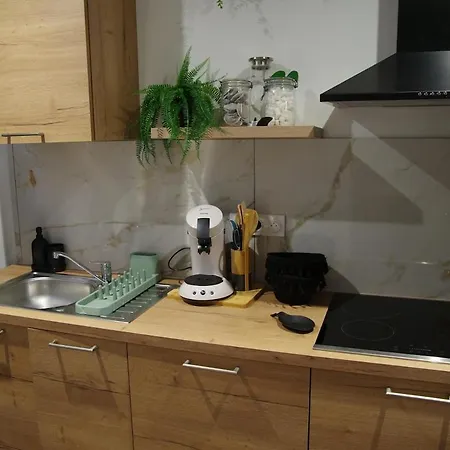Bulle Tropicale Jungle Apartment Clermont-Ferrand