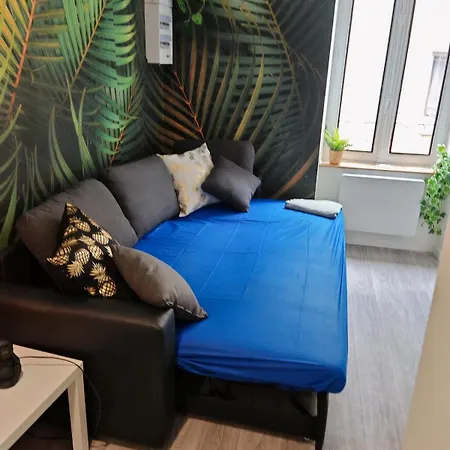 Bulle Tropicale Jungle