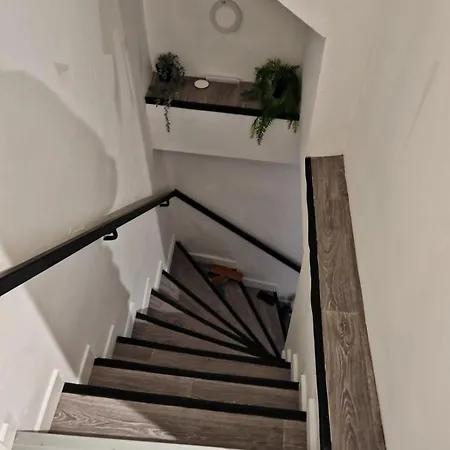 Bulle Tropicale Jungle