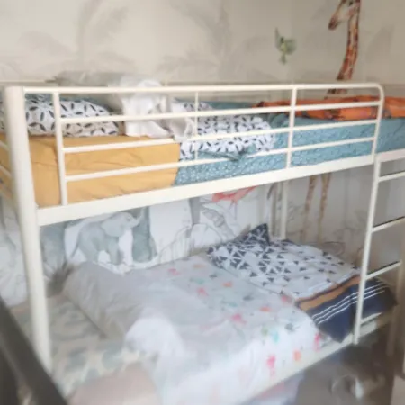 Bulle Tropicale Jungle クレルモン・フェラン