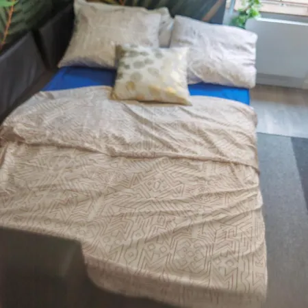 Bulle Tropicale Jungle * Clermont-Ferrand