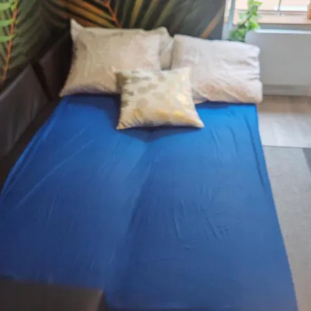 Bulle Tropicale Jungle Appartamento