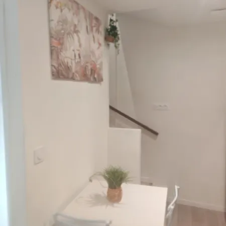 Appartement Bulle Tropicale Jungle *