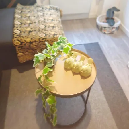 Appartamento Bulle Tropicale Jungle