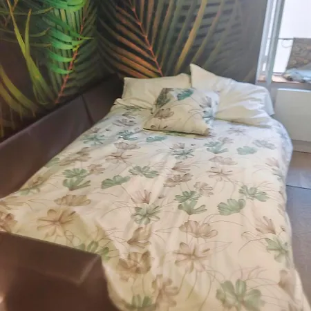 Bulle Tropicale Jungle Apartamento Clermont-Ferrand