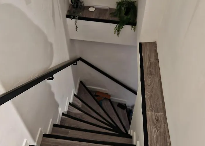 Bulle Tropicale Jungle