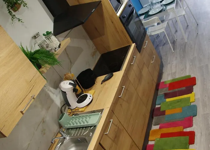 Bulle Tropicale Jungle كليرمونت-فيراند