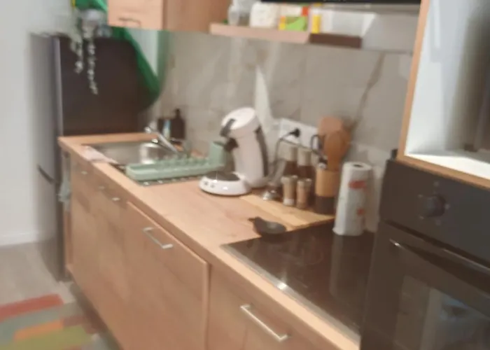 Bulle Tropicale Jungle *