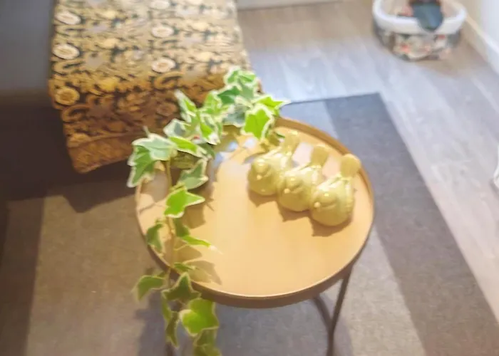 شقة Bulle Tropicale Jungle