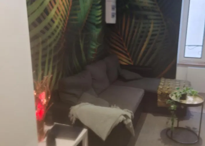 شقة Bulle Tropicale Jungle كليرمونت-فيراند