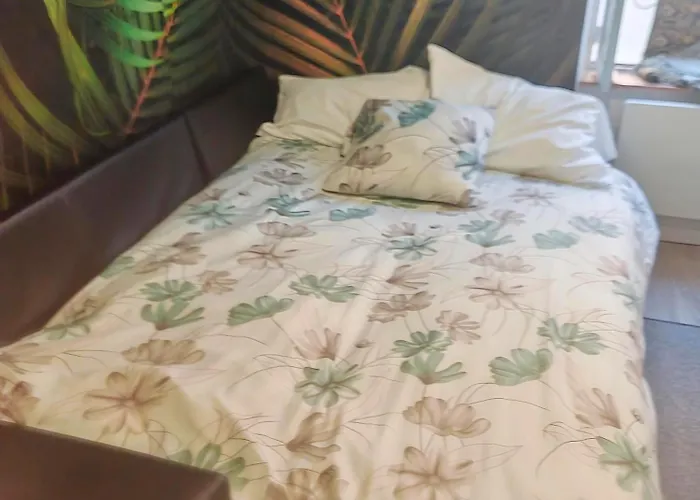 Bulle Tropicale Jungle شقة كليرمونت-فيراند